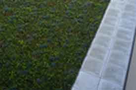 Siding Installation Verdebuilt Construction